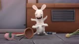 疯狂的兔子：兔子的心眼很小，一点小事它都记得，再嘲笑就不对了