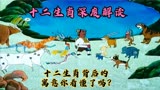 《十二生肖》这部动画你看懂了吗？深度解读12种动物死亡的寓意！