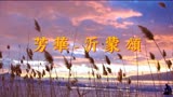 芳华-沂蒙颂-深圳剑袖舞蹈