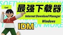 IDM最强下载软件，没有之一 Internet Download Manager 