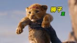 《狮子王》小辛巴，童年的回忆，百看不厌