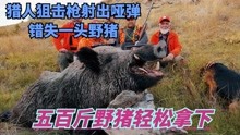 狩猎野猪王，山林中搜寻巨型野猪，看猎人如何智擒野猪