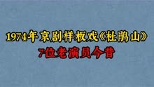 1974年样板戏《杜鹃山》7位演员，杨春霞，马永安，你认识几位
