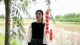 《铁道游击队》插曲《弹起我心爱的土琵琶》，永恒的回忆