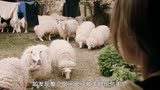 电影《疯羊》羊突然开始吃肉，被它们咬过的人都会变成羊