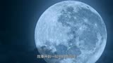 阳神之太上忘情_第一集 2023最新奇幻大剧，特效震不震撼自己观看