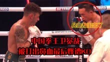中国拳王徐灿卫冕战被外国悍将重拳KO，丢掉世界金腰带