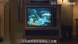 海洋生物与人类发生的跨越种族的爱情#海王 #影视解说 #视觉震撼