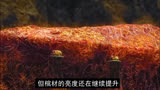 第27集～智能棺材自带感应，背后竟是西王母#盗墓笔记之终极笔记