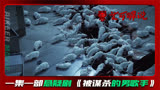 外国人为了参加中国好声音，被凶手残忍杀害！