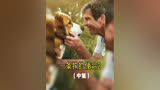 刘宪华好莱坞首秀《一条狗的使命2》（中集）