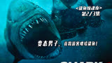 经典恐怖电影《鲨鱼惊魂夜》震撼袭来！大白鲨袭来！