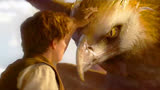 佳片推荐：《神奇动物在哪里》——一部奇幻之旅的视觉与情感盛宴