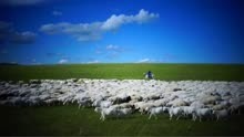 疫情结束后我们一起去放羊吧！ #内蒙古  #放羊  #等疫情结束后