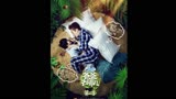 《爸爸去哪儿》为什么会用“她”作为背景音乐？