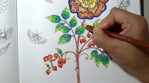 秘密花园树叶涂色作品图片