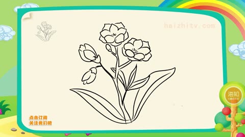 简笔画植物花卉教程,如何画夹竹桃,海知儿童简笔画大全