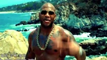 [图]Flo Rida - Whistle