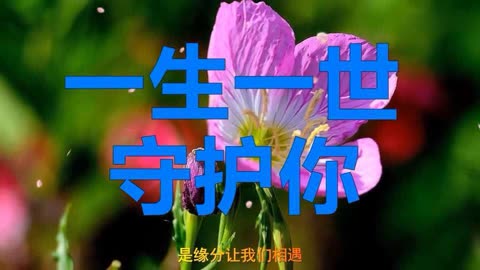 守护一生一世文字图片图片