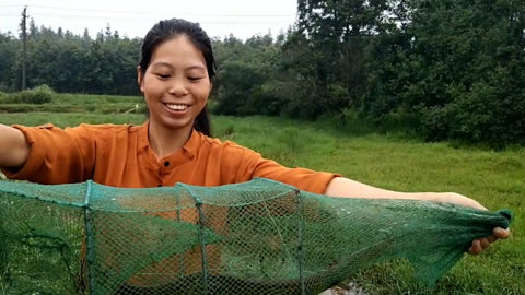 農村小妹去田間收地籠,小鯽魚泥鰍塘角魚,還有一條大黃鱔