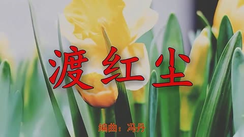 流行經典好歌,這首《渡紅塵》樂桐演唱,唱到了心坎裡了