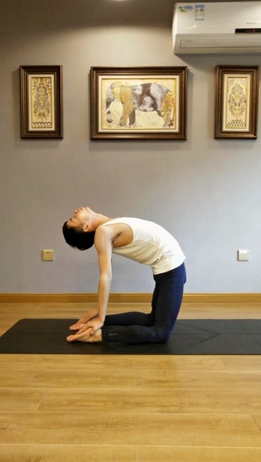 瑜伽经典体式骆驼式改善圆肩驼背柔软脊柱提升气质