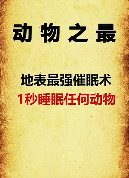 全民小視頻動物之最地表最強催眠術一秒睡眠任何動物