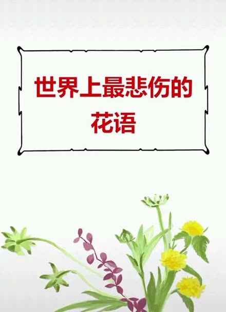 世界上最悲伤的花语