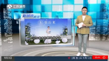 贝拉米有机中文版菁跃奶粉新品发布会