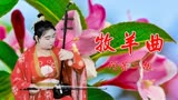 阿蕾二胡独奏《牧羊曲》这首少林寺的主题曲，听着还是那么的经典
