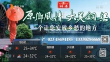 重庆卫视晚间区县天气预报 2021年7月25日