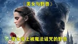 美女与野兽的奇妙爱情