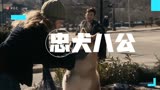 一部由日本的真实事件改编的感人电影「解说」《忠犬八公》