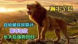 看过狮子王动画片的，年龄不止30了吧？回顾经典！