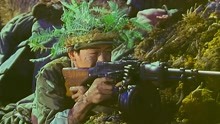 长排山之战真实战例，越军效仿中国战法，用时一天，守敌反被全歼