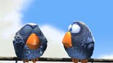 出人意料的结局，小鸟们与大笨鸟的搞笑邂逅，动画短片《鸟鸟鸟》