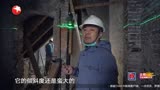 梦想改造家8之巧改上海老洋房 呈现现实版“滚蛋吧！肿瘤君”