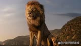 迪士尼《木法沙》不是《狮子王》单纯的前传？看看导演如何说