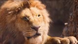 时隔25年，真人版《狮子王》强势归来，动物形象逼真又可爱！