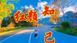 一首《红颜知己》只怪当初真的太爱你，爱到最后却化成了泪滴