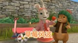 彼得兔之草莓风波，3—6岁儿童早教启蒙休闲益智动画片解说推荐