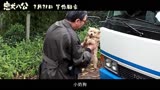 电影《忠犬八公》揭秘“演技派”小狗