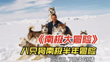 《南极大冒险》豆瓣8.7 八只狗狗南极半年大冒险