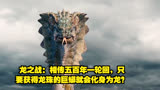 龙之战：相传五百年一轮回，只要获得龙珠的巨蟒就会化身为龙？