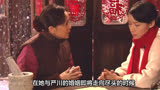 2010年王小康执导的电视剧《中国家庭》剧情介绍
