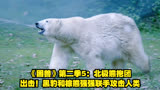 《困兽》第二季5：北极熊抱团出击！黑豹和棕熊强强联手攻击人类