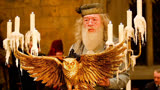 《哈利波特》的魔法校长邓布利多去世，甘本与哈里斯在天堂见面