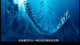 《巨齿鲨2》：海底深渊奇异探险