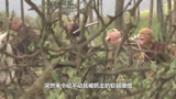   新西游记：聂远最不喜欢的角色，吴樾直接被吓哭，臧老师太绝了
