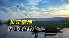 长江禁渔10年，为啥不禁止垂钓？钓鱼佬：真实原因有点侮辱人了